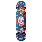 Hydroponic Mexican Complete Skateboard - Blue Skull