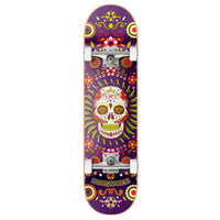 Hydroponic Mexican Komplet Skateboard - Purple Skull-ScootWorld.dk