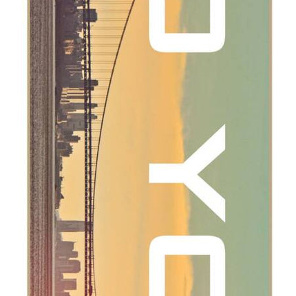 Zoo York City Skateboard - Bridge