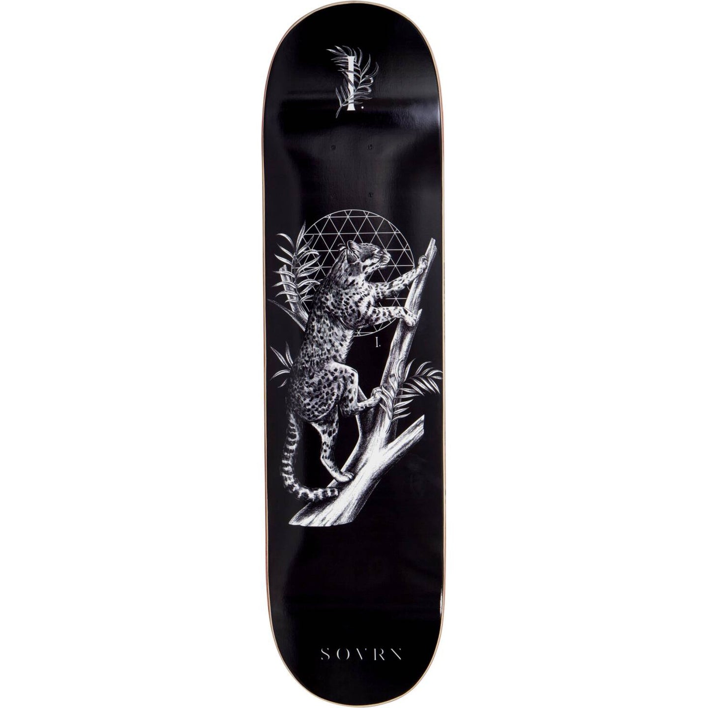 Sovrn Felis B Skateboard Bräda - Black