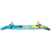 Plan B Team komplett skateboard - Schekler Trolls-Skateboards-ScootWorld.se